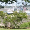 shpointshrimpers.jpg