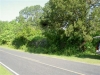 chdriveby.jpg
